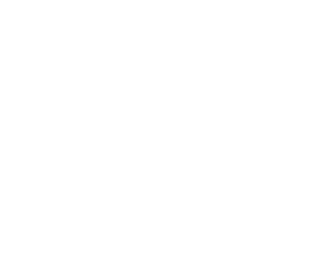 Logo Blanc
